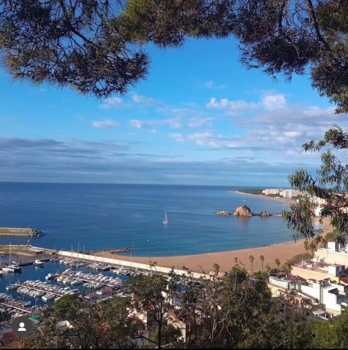 Piso Ideal Para Una Familia Ubicado Cerca Del Mar Blanes Ngoại thất bức ảnh